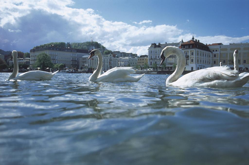 Landhotel Gruenberg Am See غموندين المظهر الخارجي الصورة